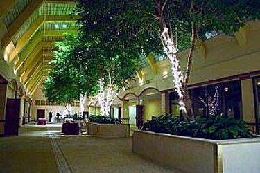 Hotel Mockingbird Dallas Exterior foto